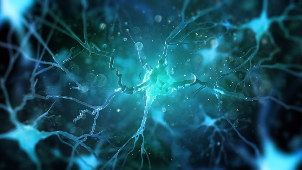 Neurosciences and research