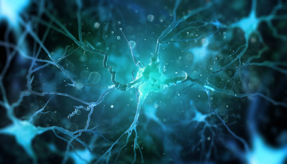 Neurosciences and research