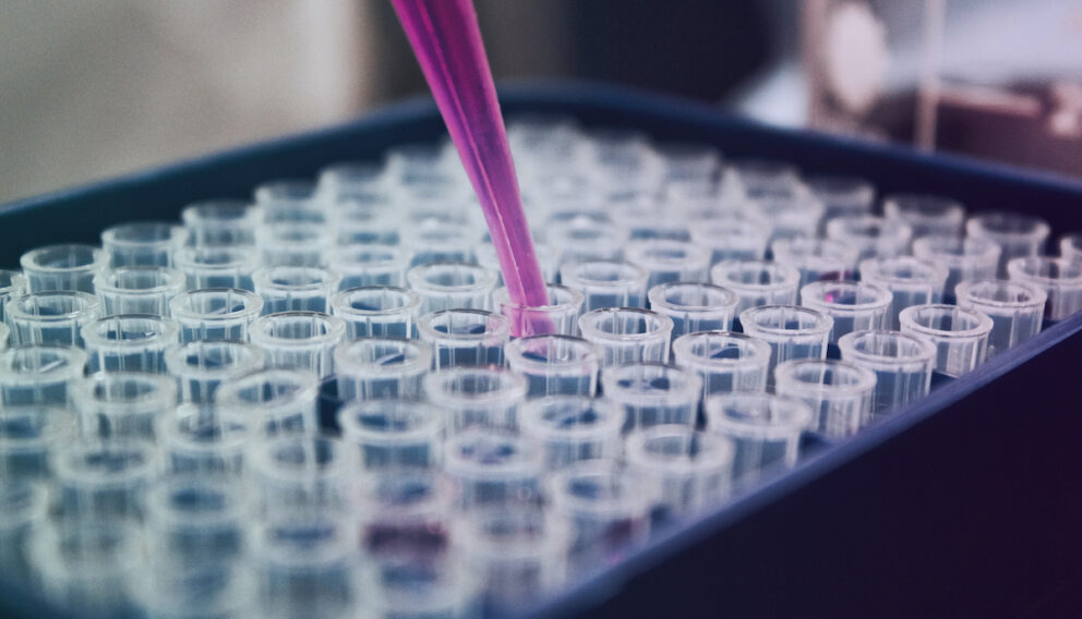 Mari Auranen ja Emil Ylikallio