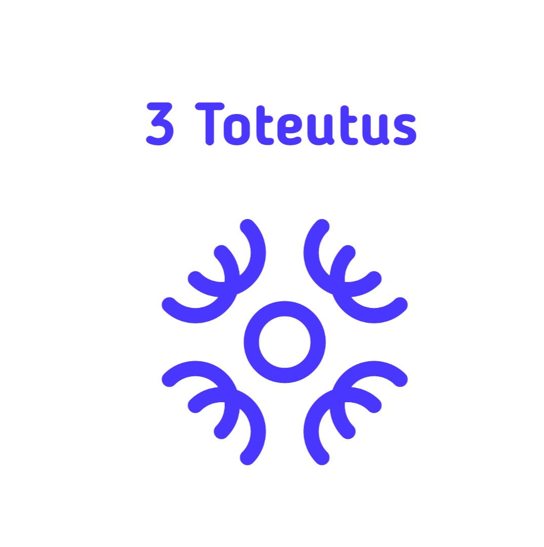 Toteutus